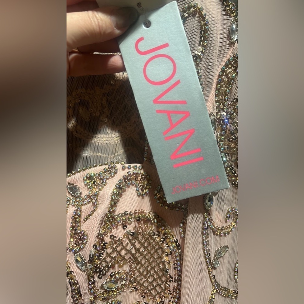NWT Jovani Light Pink Embellished Long Sleeve Dress size 16 - Picture 6 of 12